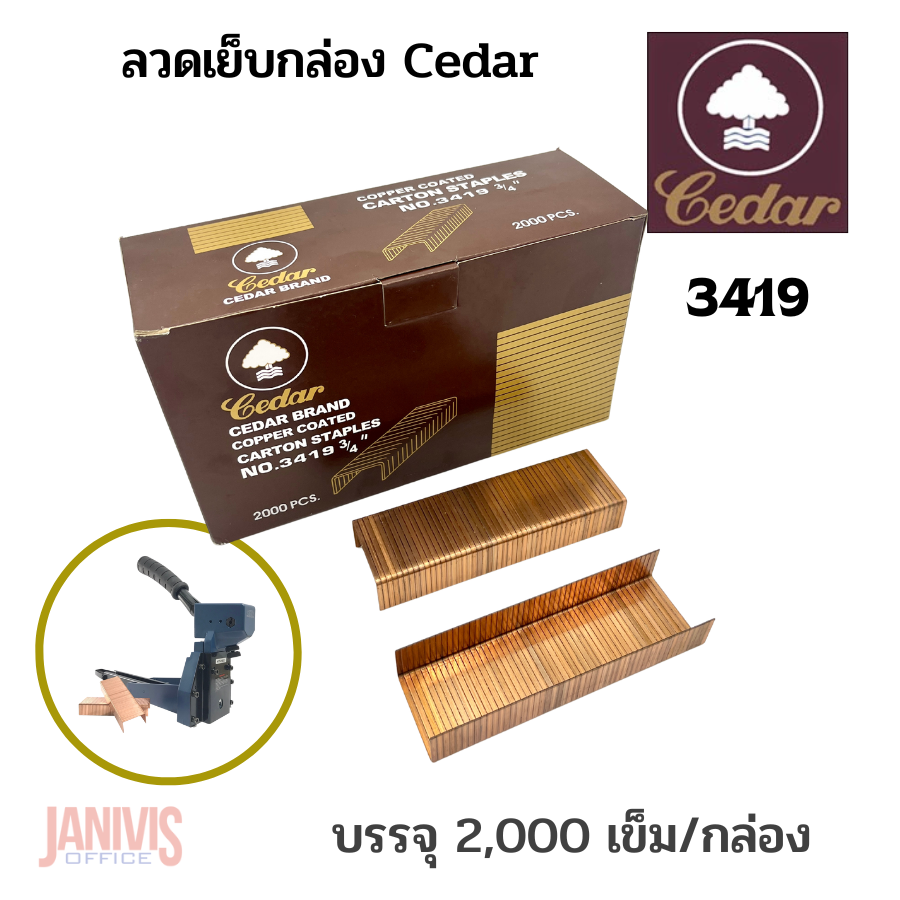 ลวดเย็บกล่อง Cedar No.3419 บรรจุ 2,000 ตัว/กล่อง
